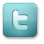 Laman Twitter PN Palopo